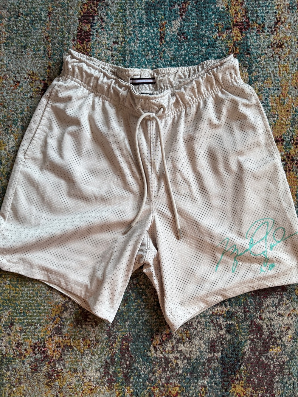 Jordan GFX Mesh Shorts